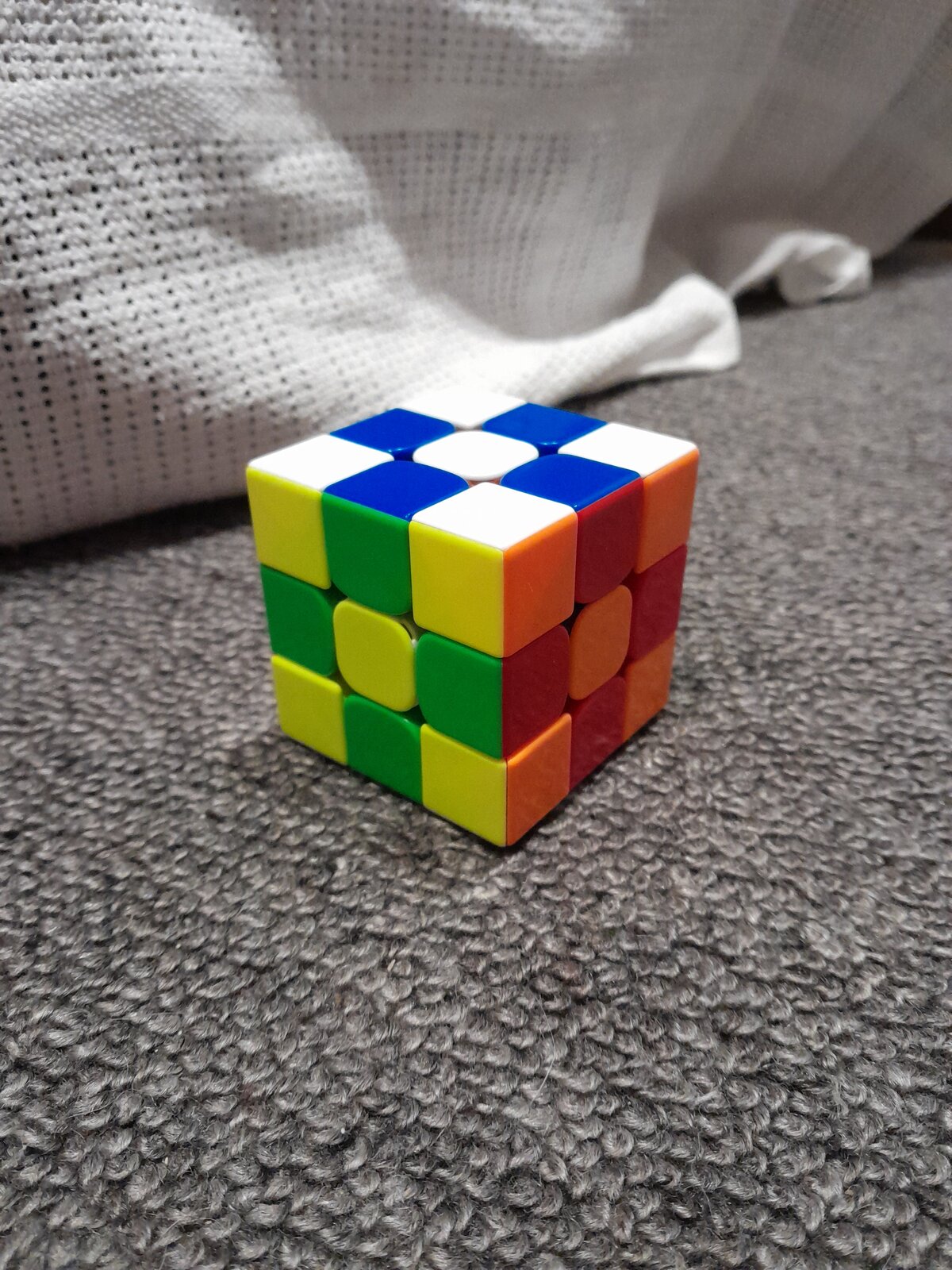 1000000524.jpg