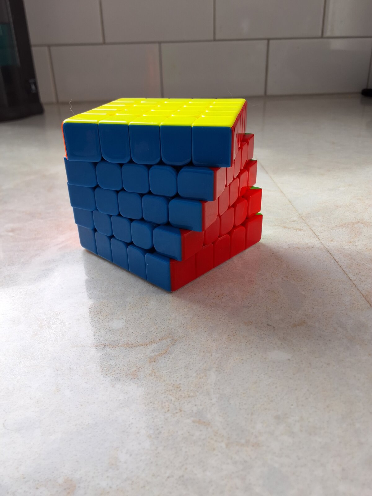 1000003204.jpg