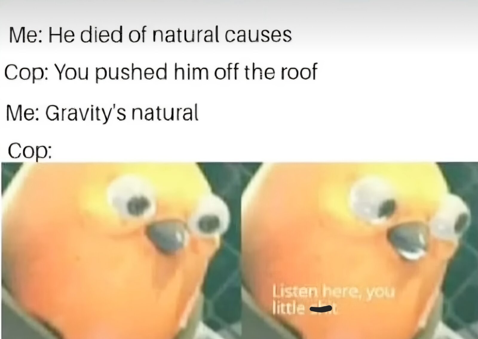 1000005486.jpg