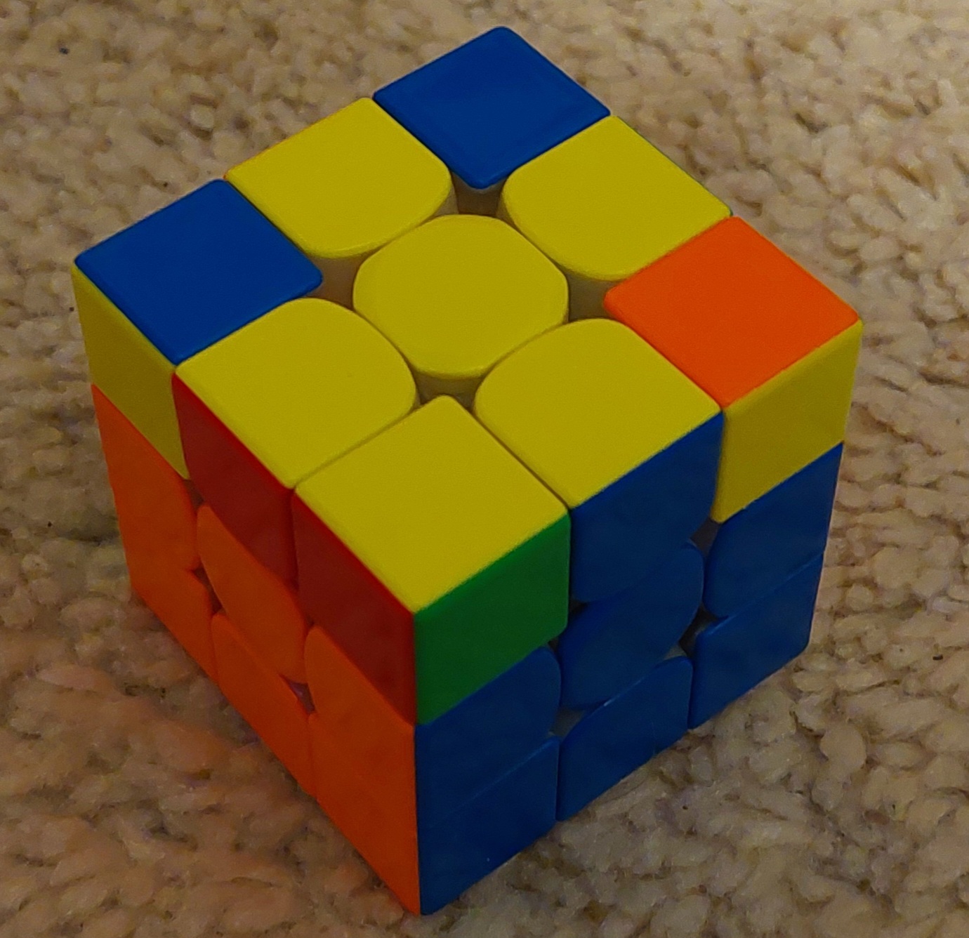 1000072837.jpg