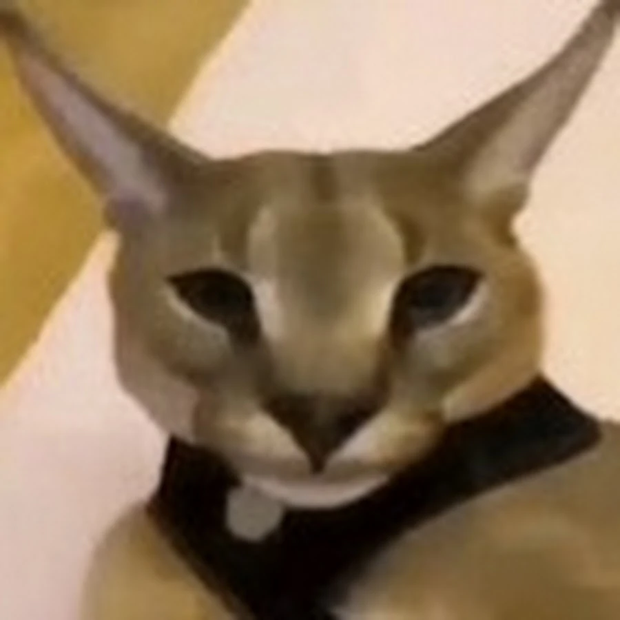 1642539711261.png