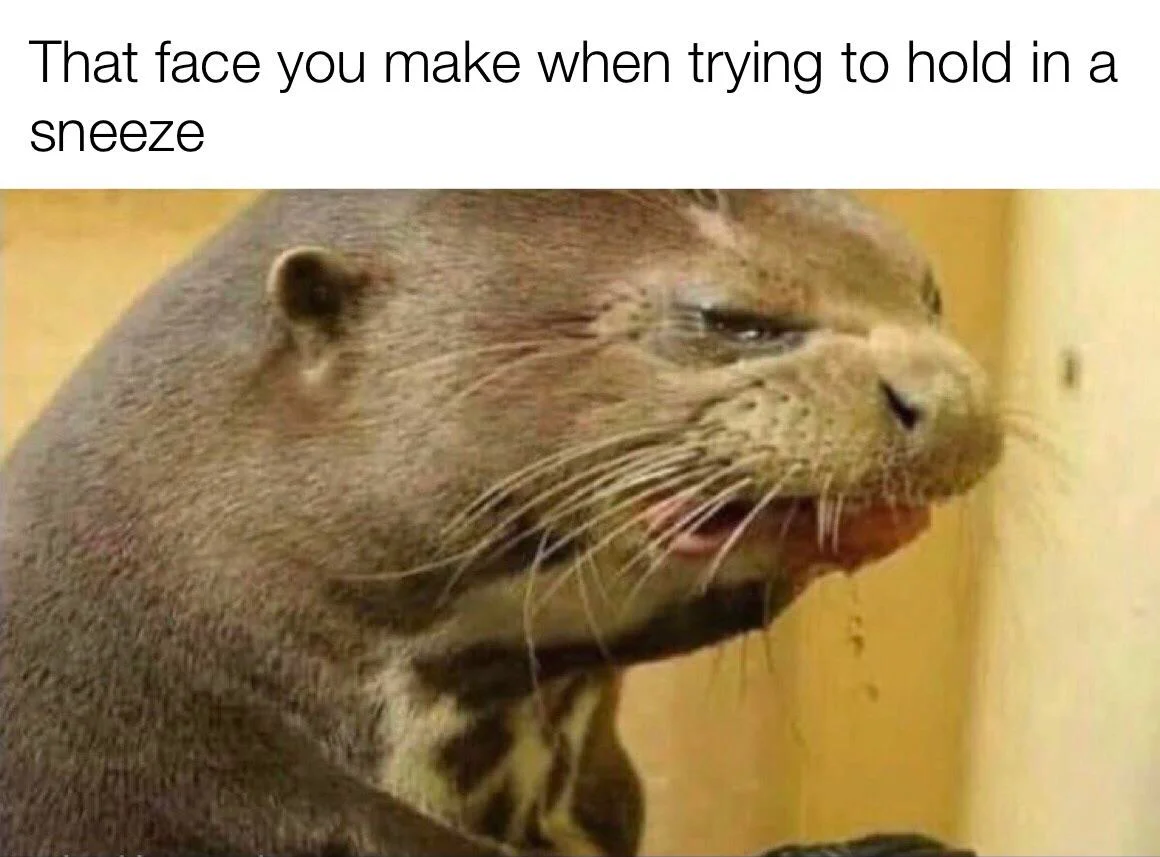 1657667152362.png