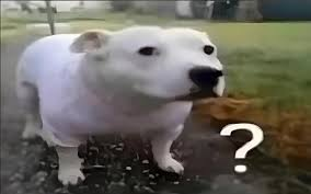 1713544346573.png