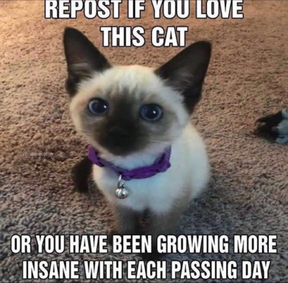 1723156437771.png