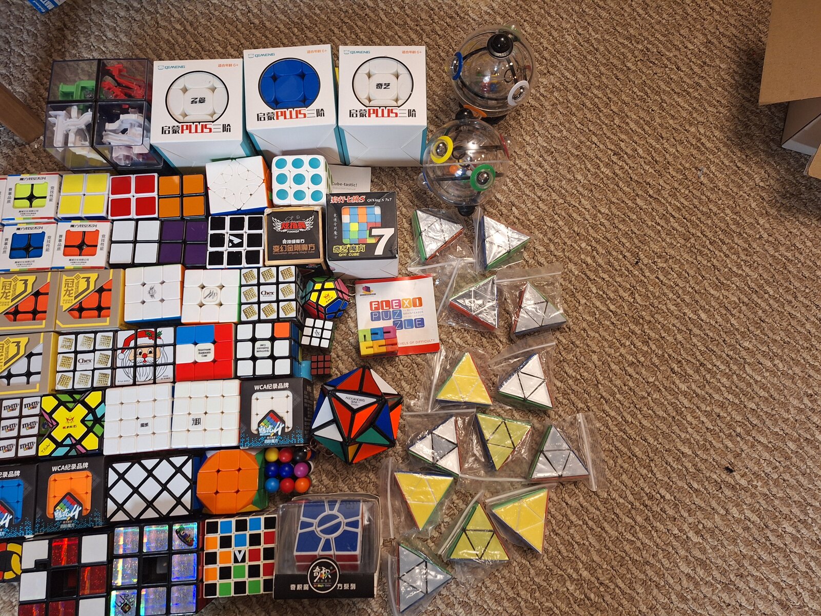 20240701_145206.jpg