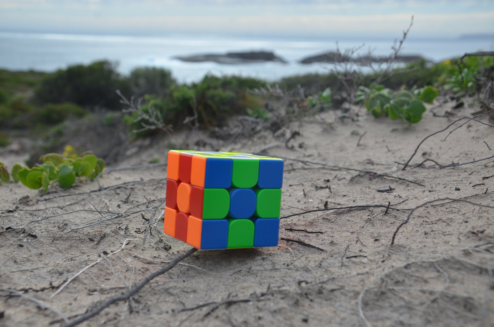 DSC_6059.jpeg