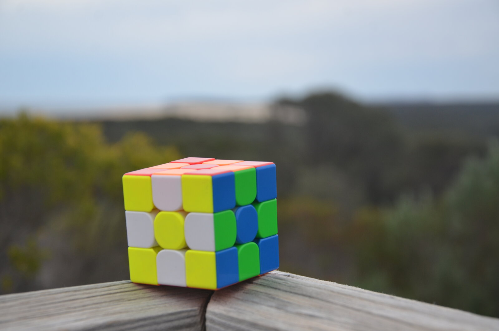 DSC_6242.jpeg