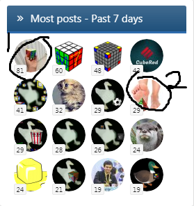 human body parts.png