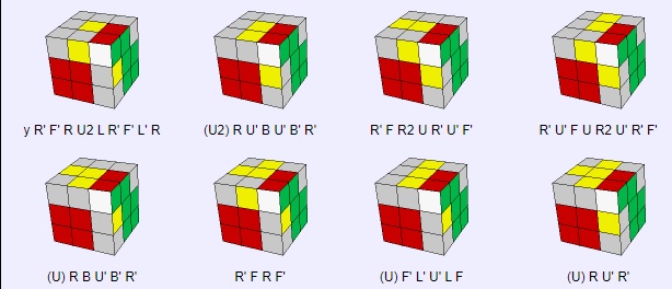 ZBF2L.jpg