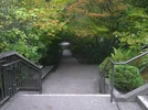 DSCF0208.webp