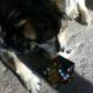 Padfoot