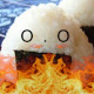 combustiblerice