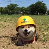 PnknHead