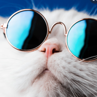Mikomancuber52