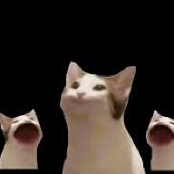 MewMew_Cuber