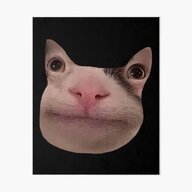 Vndi-Cat