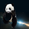 SpacePanda15