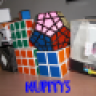 nupityS