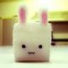bunny