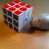 RubikMouse