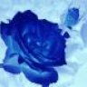 PrettyColorBlue
