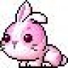 SugarBee