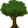 Thom Treebus