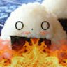 combustiblerice