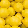 LemonCuberIGuess