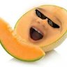 TheDopeCantaloupe
