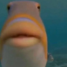 JC Cuber