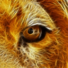 roarofthelion1