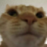 CharlesSub20