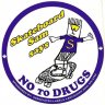 SkateboardSam
