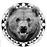 Bearfacedsoup62