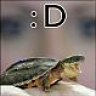 TheTurtleman9