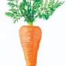 Absolute Carrot