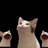 MewMew_Cuber