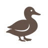 Kevencito