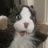 RonaldtheCat