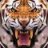 Animorpher13