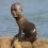 Walrusizer