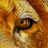 roarofthelion1