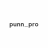 punn_pro