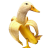 drdoge97