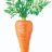 Absolute Carrot