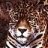 PHPJaguar