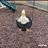slowsolver123
