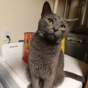 my favorite picture of max