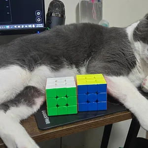 Media 'cubesforscale.webp' in album 'cats'